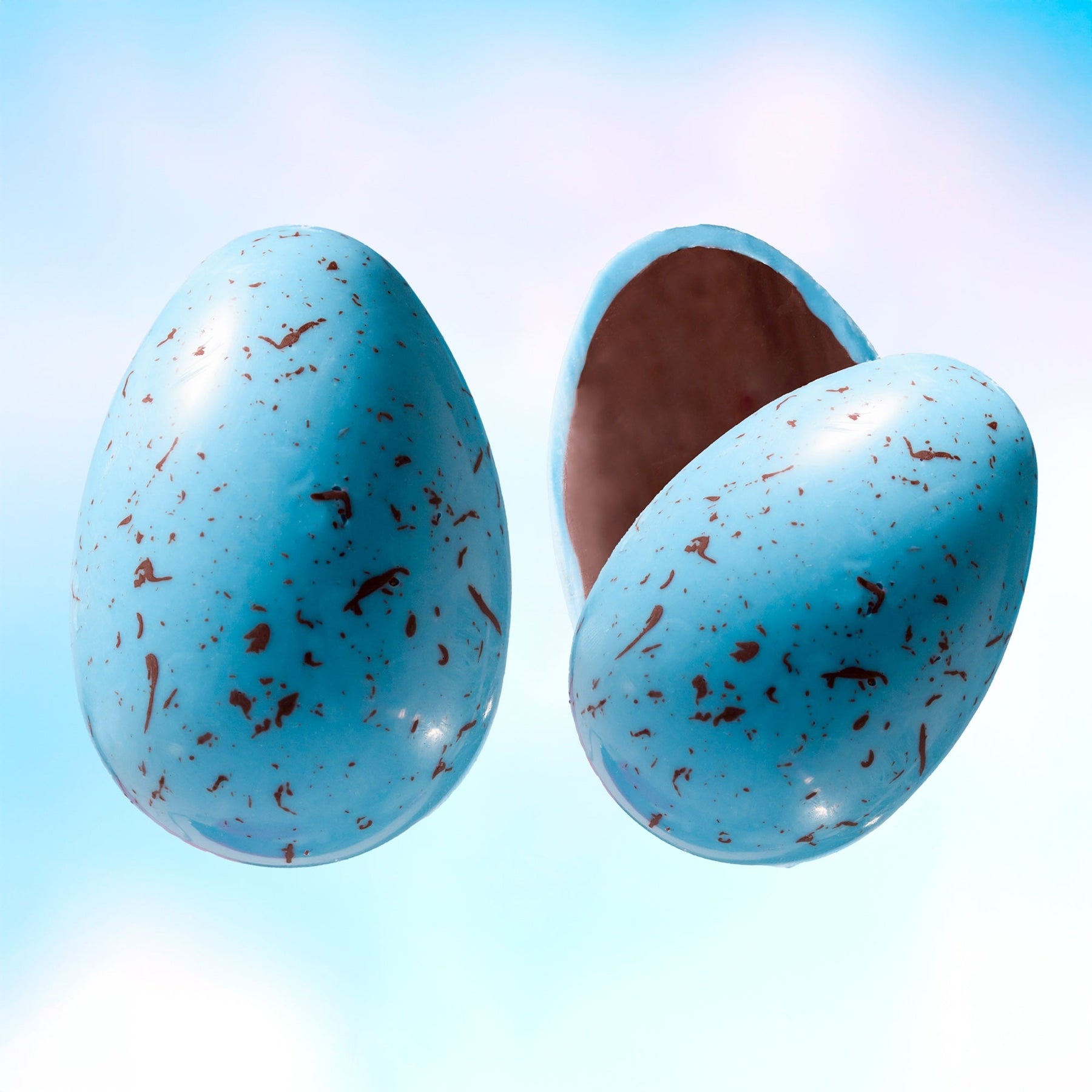 Robin's Egg - Classic Artisan Egg Assortment
